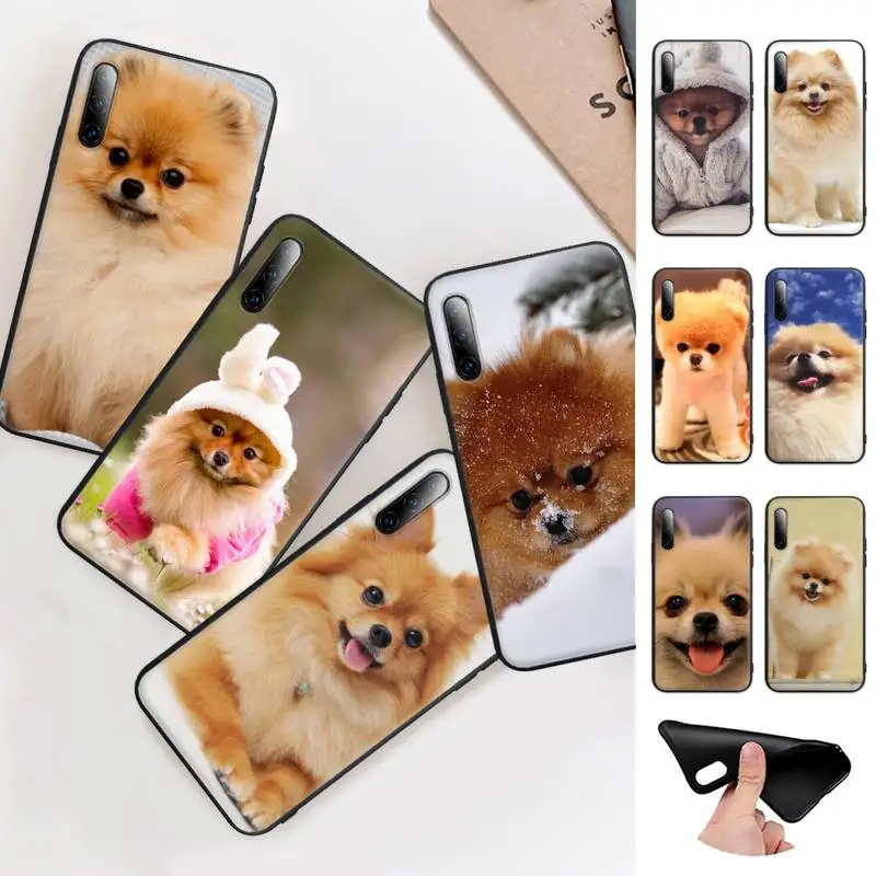 

Pomeranian Dogs Dog Colorful Cute Black Matte Mobile Phone Case Cover For Xiaomi Mi 6 A2 8 10 Lite 9 Se 9t Pro A1 Note 10 Lite
