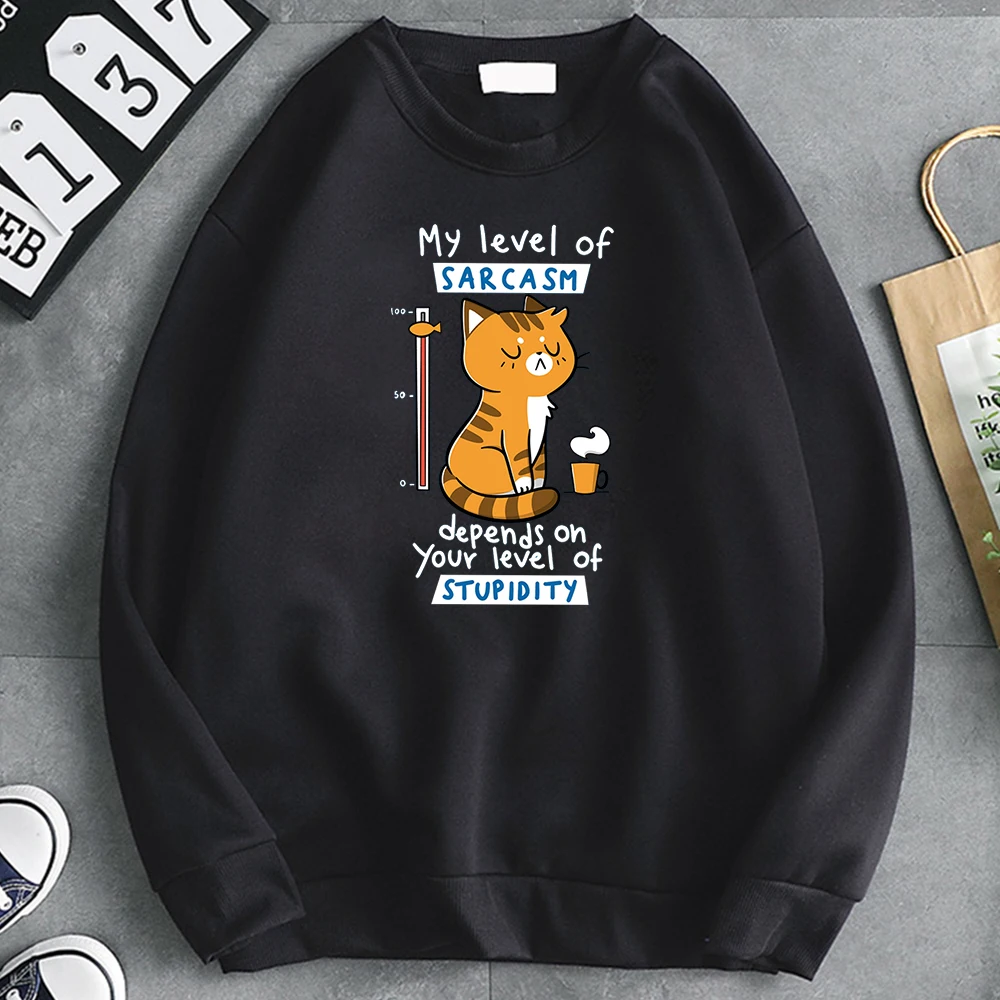 

Мужская толстовка с капюшоном, с круглым вырезом и длинным рукавом