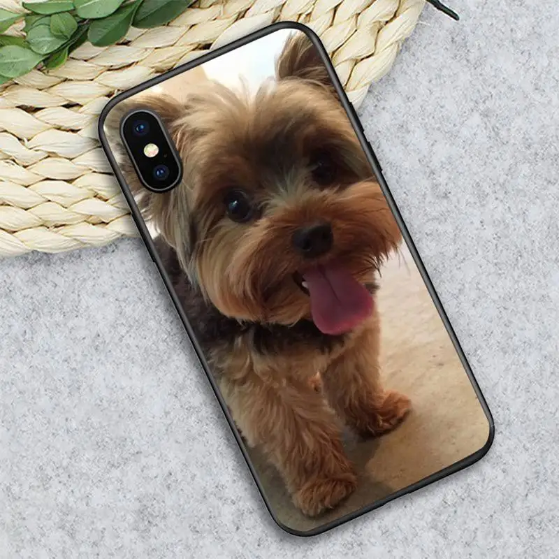 

Yorkshire Terrier dog animal Phone Case for iPhone 11 12 pro XS MAX 8 7 6 6S Plus X 5S SE 2020 XR Soft silicone funda