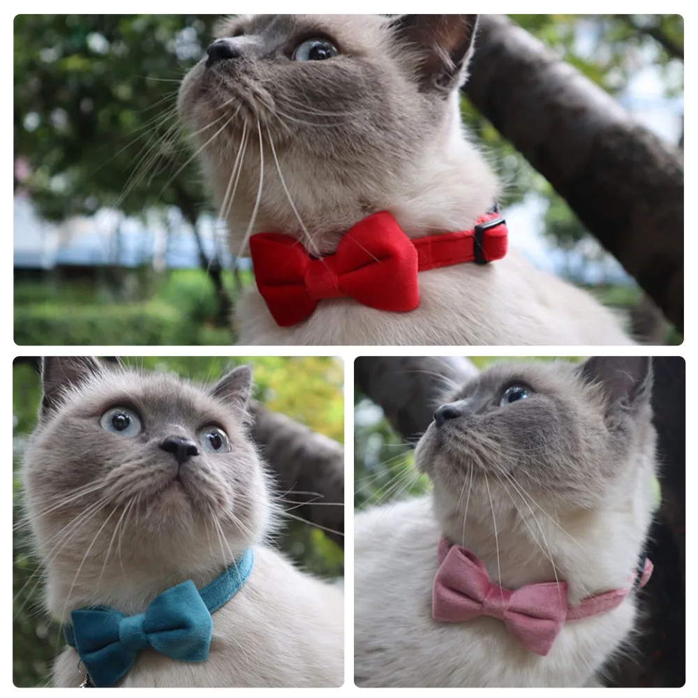 

Solid Color Bowknot Velvet Cat Collar with Bell Puppy Chihuahua Collars Pet Accessories Adjustable Safety Buckle pet supplies
