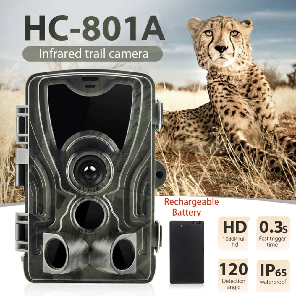 HC-801A Trail охотничья ловушка камера Дикая игра ночное животное термальная фото