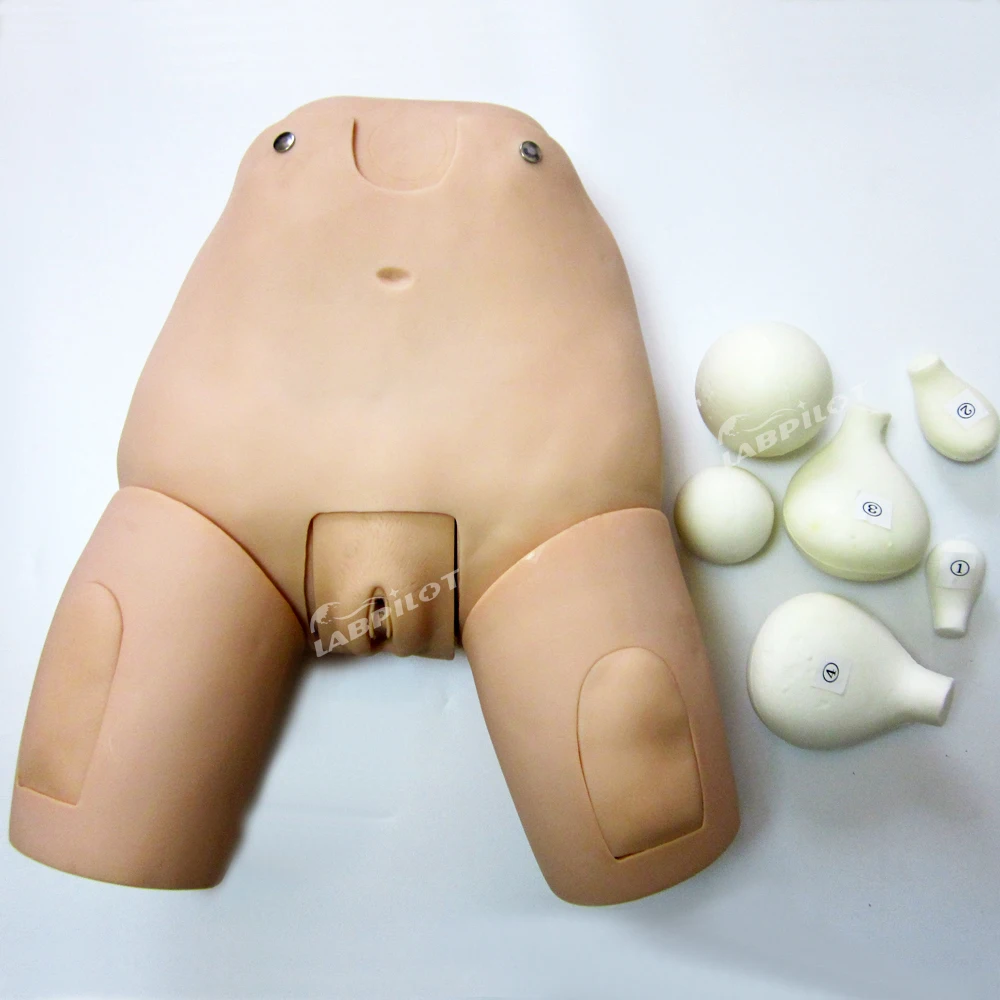 Послеродовой глазного дна матки изучения и оценки имитатор ухода за