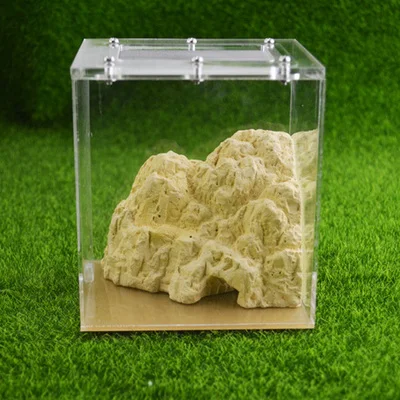 Маленькие муравьиные фермы Муравьиное гнездо для молодых колоний|Товары