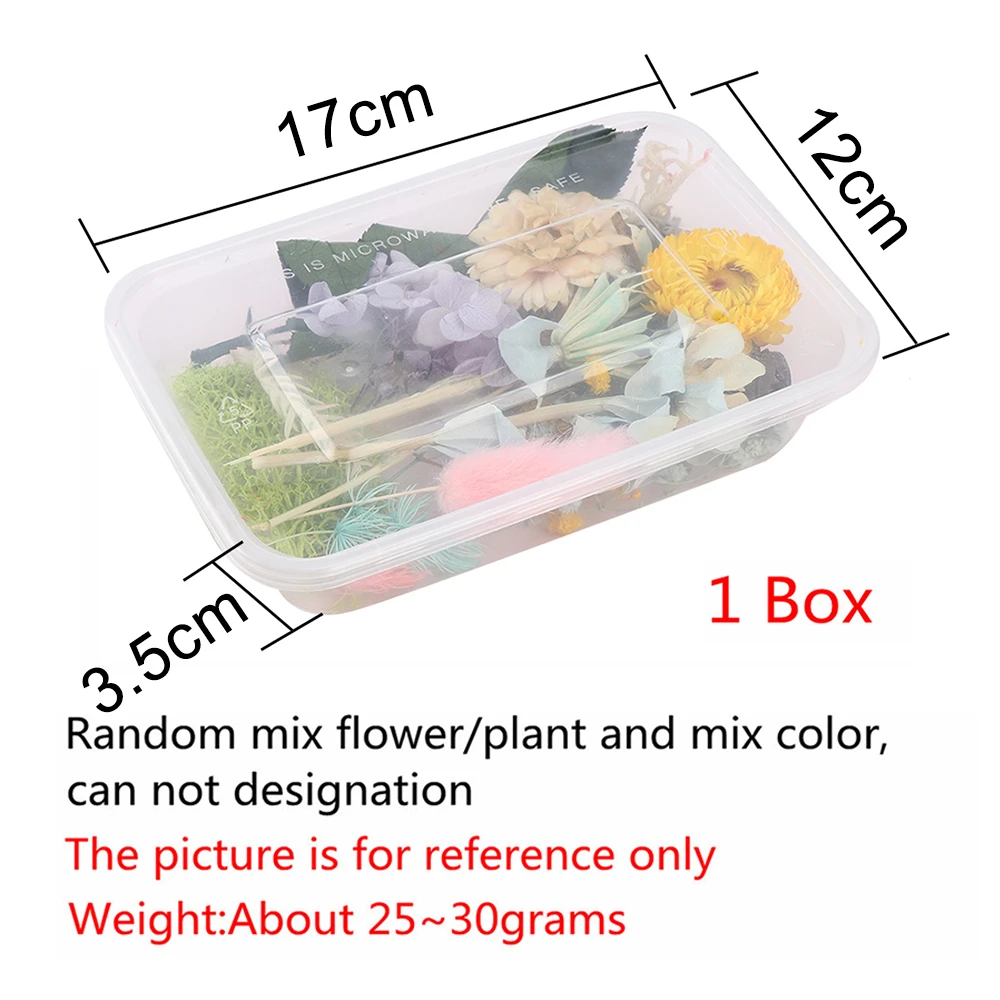 Dried Flower A Box Aromatherapy Floating Flowers Heads Making Craft DIY Greeting Cards Hand-Made Botanical Painting Decor | Дом и сад