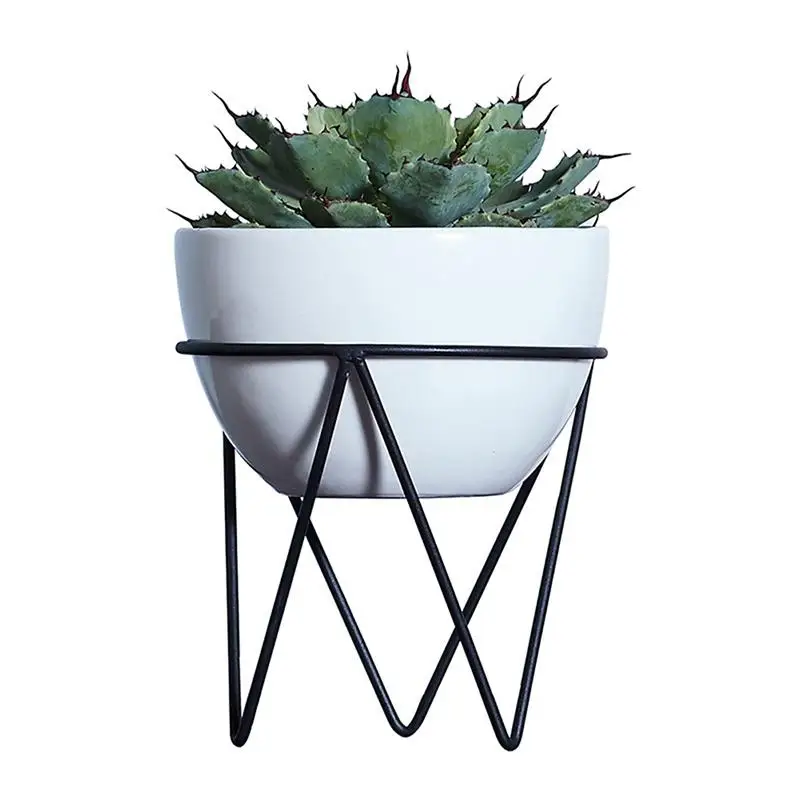 Мясистые растения для цветов горшок железный гидропонного искусства настольный