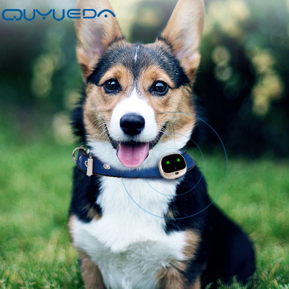 Mini 4G Pet GPS Tracker Waterproof Dog Collar With Dazzle Lights Animal Locator Support Geo-Fence Low Battery Alarm WIFI | Автомобили и