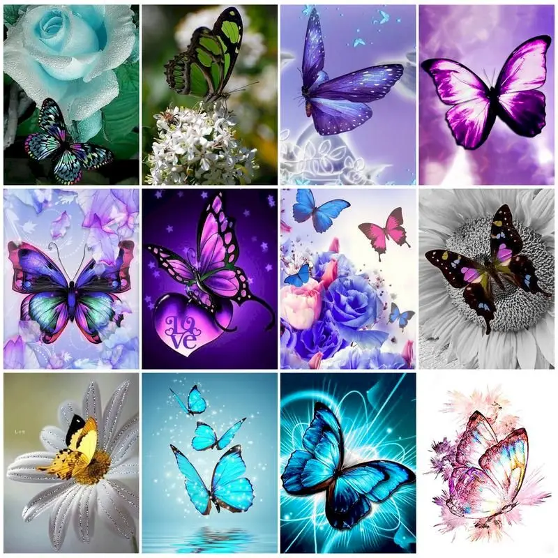 

Butterfly Paint By Number On Canvas With Frame Acrylic Paint For Adults Handmade Picture DIY Kits Coloring By Number Decor Art