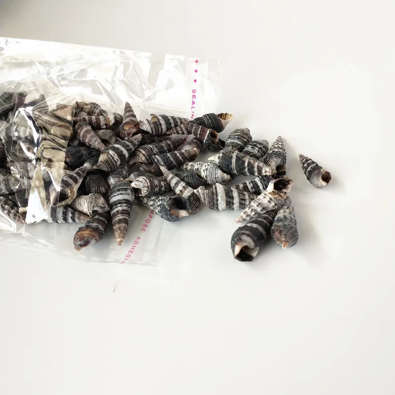 100 шт. натуральные раковины черные спиральные для зачистки в аквариуме