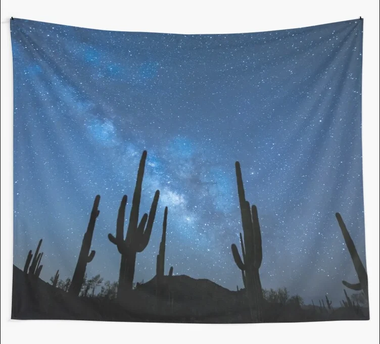 

Milky Way Skyscape in the Desert Full with Succulents Tapestry Wall Hanging Tapestries Dorm Home Carpet Bedroom Decor Yoga Mat