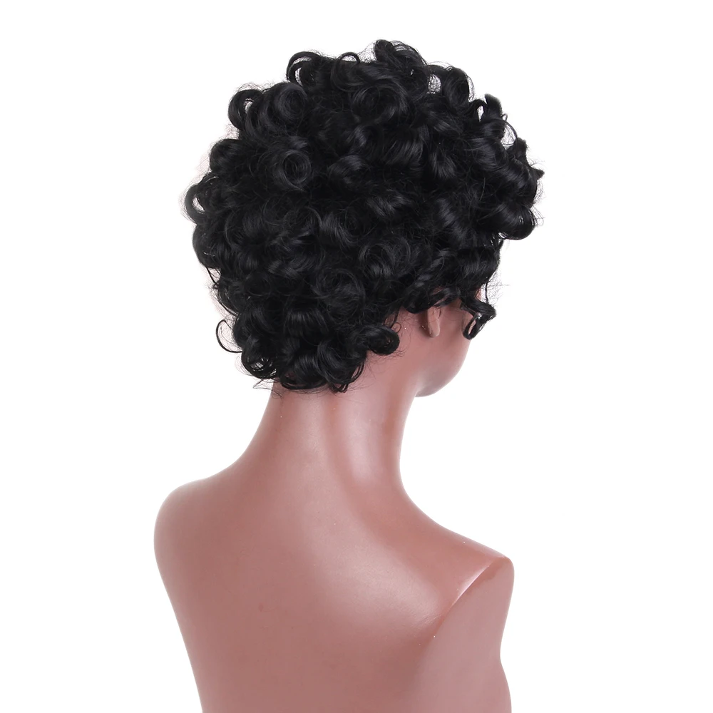 

Black Synthetic Short Curly Synthetic Hair Wig with Net Cap for Women