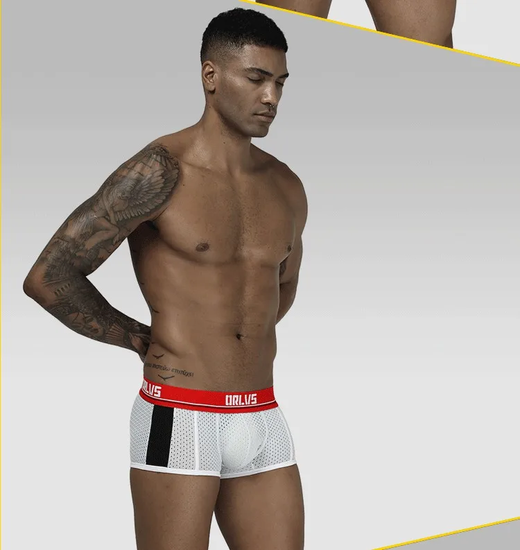 Мужские трусы боксеры Gay Mesh boxerкороткие Дышащие Боксеры Мужское нижнее белье мужские трусы забавные трусы Homme мужская одежда OR193