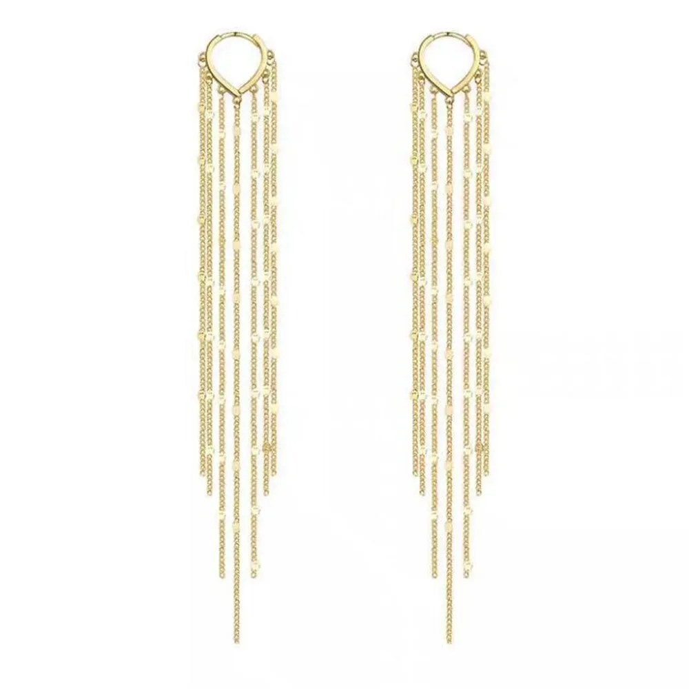 

Exquisite fashion earrings female long earrings temperament high sense tassel jewelry Korean version of cold wind romantic gift