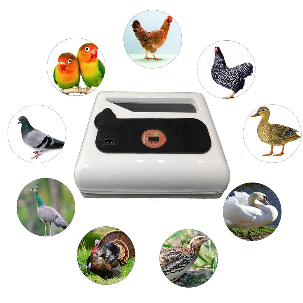 12 яиц полностью автоматический контроль температуры и поворотник машина для