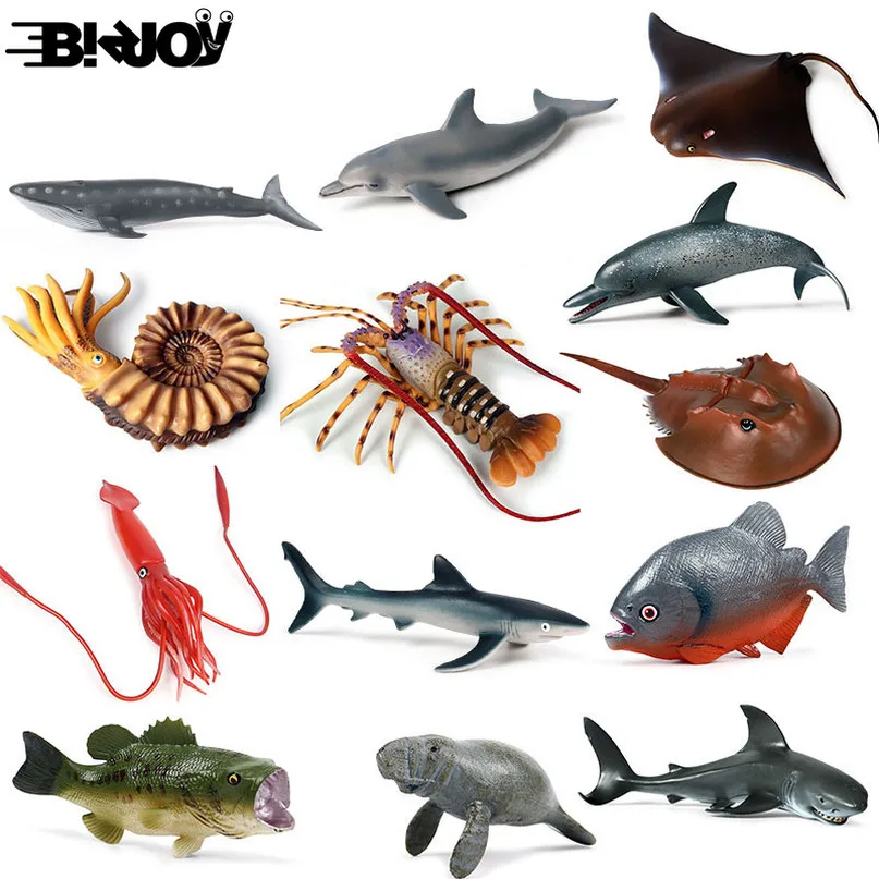 Омар Акула Парусник модель осьминога моделирование морским обитателям рисунок