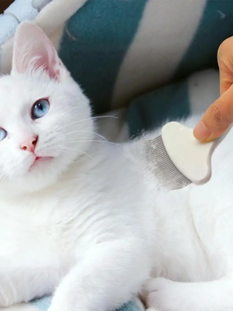 

1pc Pet Hair Removal Massaging Shell Comb Soft Brush Grooming And Shedding Matted Fur Remover Dematting Tool