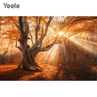 yeele autumn photocall old tree sunlight natural scenery photography backgrounds photographic backdrops for photo studio