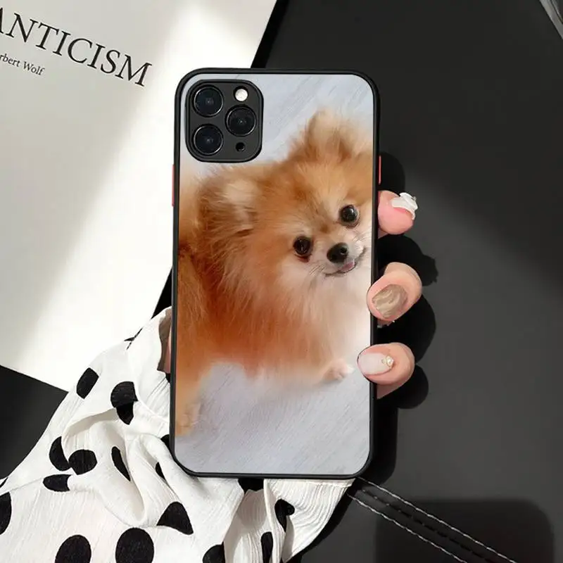 

Pomeranian Phone Case For iphone 12 11 7 8 plus mini x xs xr pro max matte transparent cover