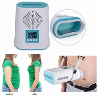 2020 high performance mini cryolipolysis machine for body slimming fat freezing slimming machine treatment for personal and beau