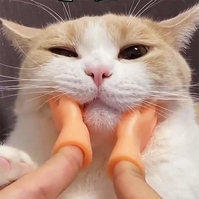 

3pcs Funny Mini Hands Fidget Toys Novelty Finger Hands Set Funny Finger Sleeve Model Cat Pet Toy Tricky Game small Hands Model