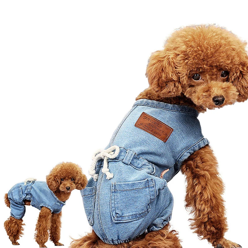 Собака модные классические джинсы рубашка ремень пальто жилет куртка