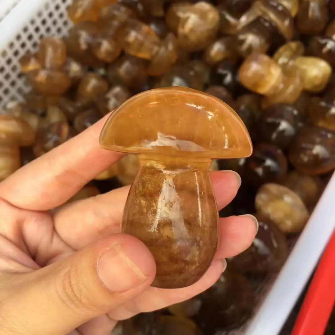 

Натуральные желтые радужные искусственные грибы