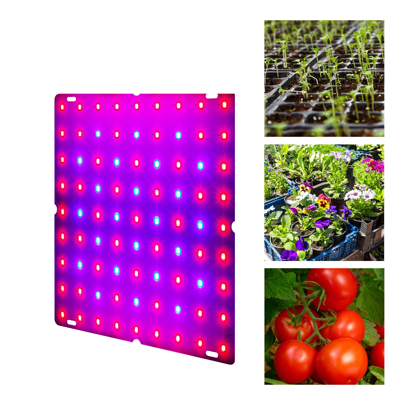 

Светодиодная фитолампа полного спектра для выращивания растений, красная Синяя светодиодная панель для растений, цветов, растений, суккуле...