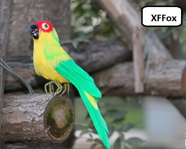 Модель желтого и зеленого попугая из пенопласта перьев размер около 25 см xf2524 | Дом