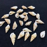 natural conch shell beads charms mini size single hole shell pendant approx 10 15mm diy for making bracelet necklace 200g