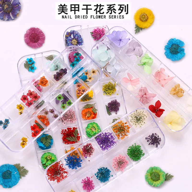 

Ins Style 12 Grid Set Nail Art Dried Flowers Japanese Nails 3d Immortal Hydrangea Daisy Lace Narcissus Real Flower