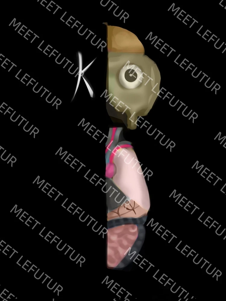 Figuras de acci&oacute;n de Kaw para Brian, mu&ntilde;ecos coleccionables de PVC de oso y Bricklys, modelos de oso y bricklys, &oacute;rgano de Bearbricklys de 20cm-3