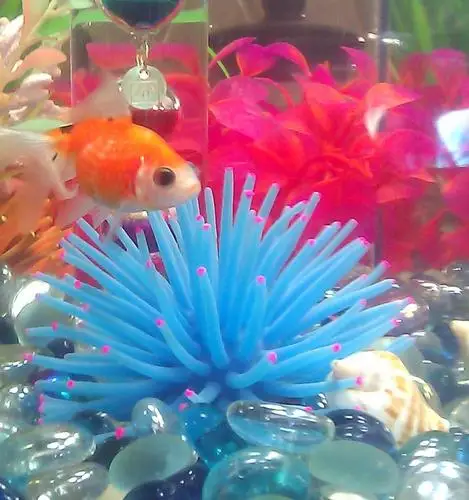 Новый SODIAL(R) синий силиконовый мини морской Anemone орнамент для аквариума|Декорации|