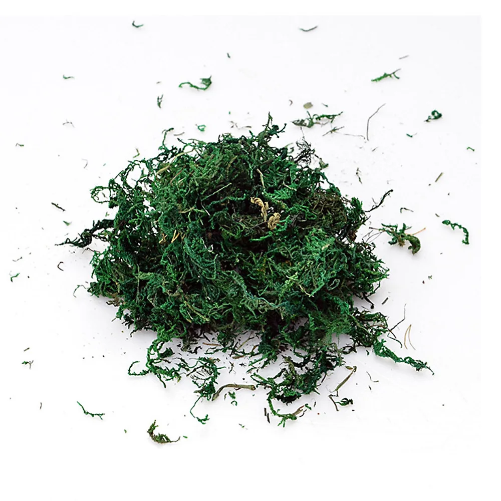 Декор для домашней гостиной Искусственный мох искусственные цветы предметы