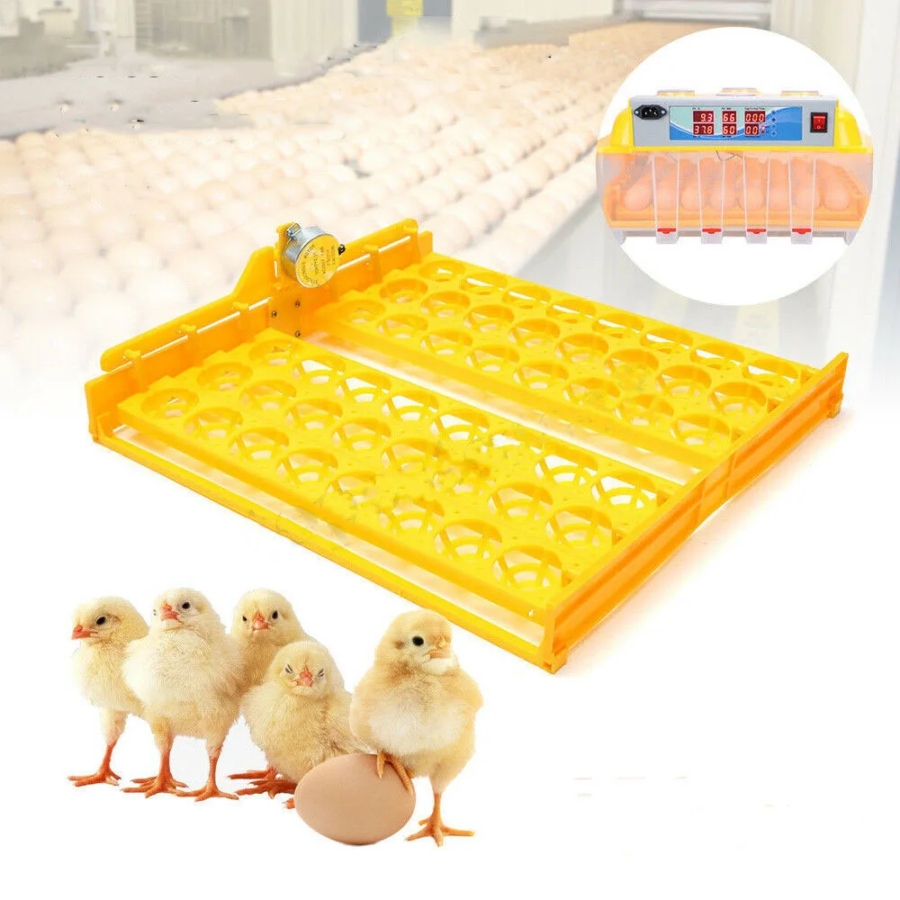 

Automatic 56- Egg Turner Chicken Duck Quail Bird Poultry 110V Incubator Tray