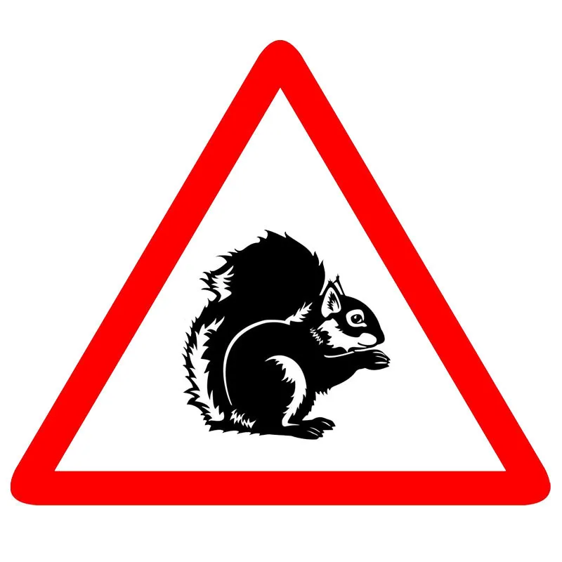 

High Quality Personalized Car Stickers Animal Warning Squirrel Animal Car Sticker PVC Creative Decal 11CM*10CM