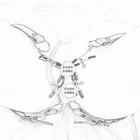 БДСМ-фиксатор для бондажа, охватывающий бедра, разбрасыватель губ, ремни с зажимами для влагалища, унижение, игры, зажимы для сосков, ролевые игры