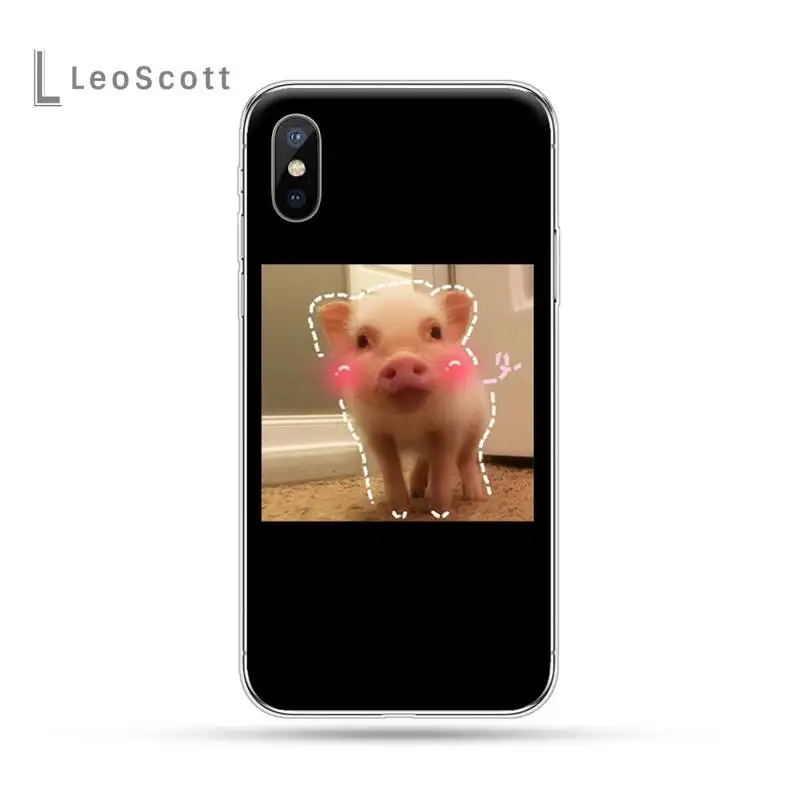 

Pet Pig cute animalluxury shell Phone Case For iphone 12 5 5s 5c se 6 6s 7 8 plus x xs xr 11 pro max mobile cover