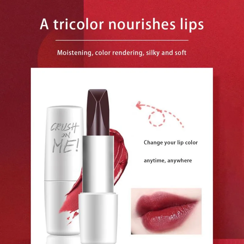 

Matte Lipstick Long Lasting Waterproof Create Pretty Charming Lip Makeup Velvet Lip Stick Easy to Wear Moisturizing Lipstick