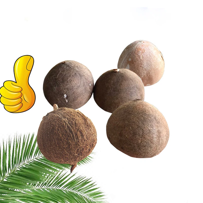 Профессиональная машина для очистки кокоса устройство удаления кокосовой кожи В