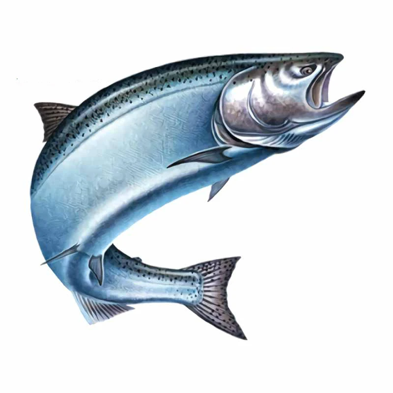 

13cm x 11cm For Salmon Car Sticker Funny Fine Decal Vinyl Material Personality Decals Waterproof Occlusion Scratch