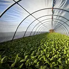 Сельскохозяйственная политуннель для сада, теплицы, фруктовые деревья, виноград, металлическая рама, защитные панели для крыши, фольгированная теплица