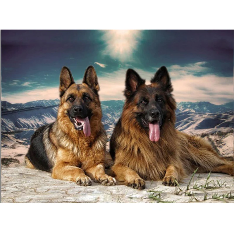 Алмазная 5D картина сделай сам бриллиантовая вышивка полная круглая мозаика