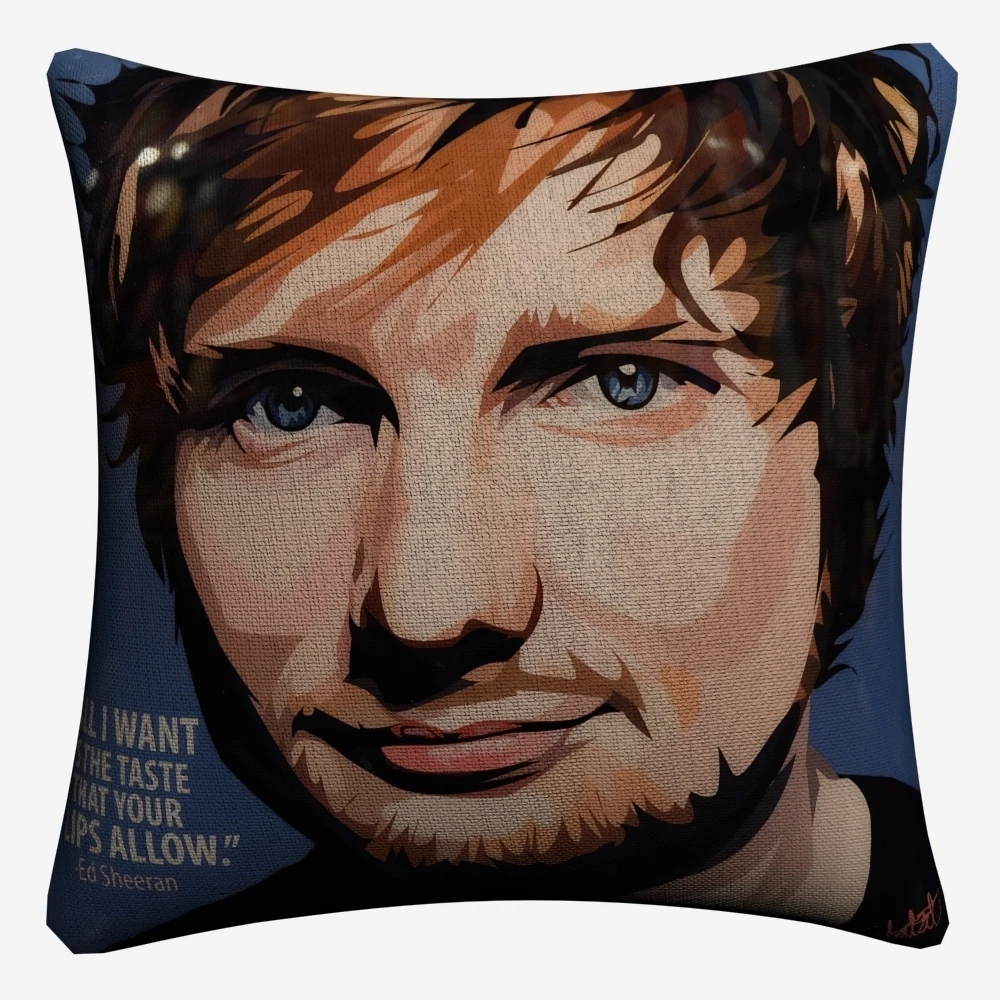 Декоративный чехол для дивана Ed Sheeran с изображением известной певицы 45x45 см