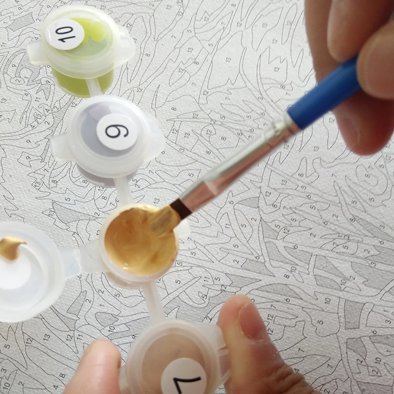 

Paint by Numbers for Adult DIY Paint by Number Kits for Kids Beginner on Canvas Painting Tools Art Sets