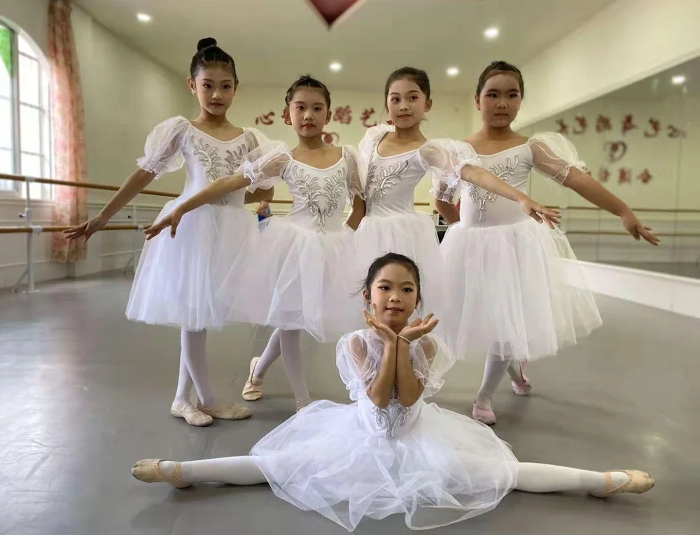2019 балетное платье для девочек Детская танцевальная одежда с юбкой пачкой