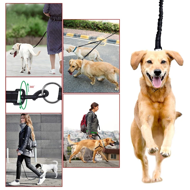 

Newest Double Dog Leash, 360 Swivel No Tangle Dog Walking Leash for 2 Dogs Up to 200Lbs, Comfortable Adjustable Dual Padded Han