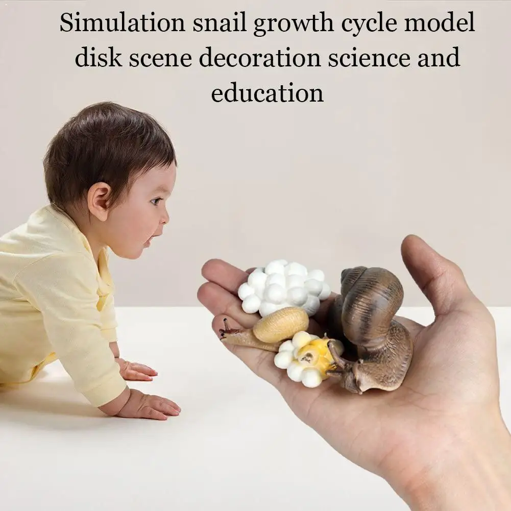 

Реалистичная коллекция циклов роста улитки, обучающая симуляция для детей, подарок, игрушка, домашние игрушки, подарок, украшение сада, дня ...