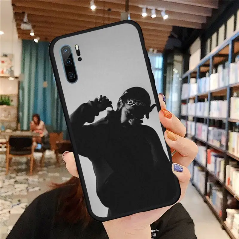 

Miyagi & Andy Panda Phone Cases For Huawei honor Mate P 9 10 20 30 40 Pro 10i 7 8 a x Lite nova 5t Soft silicone funda