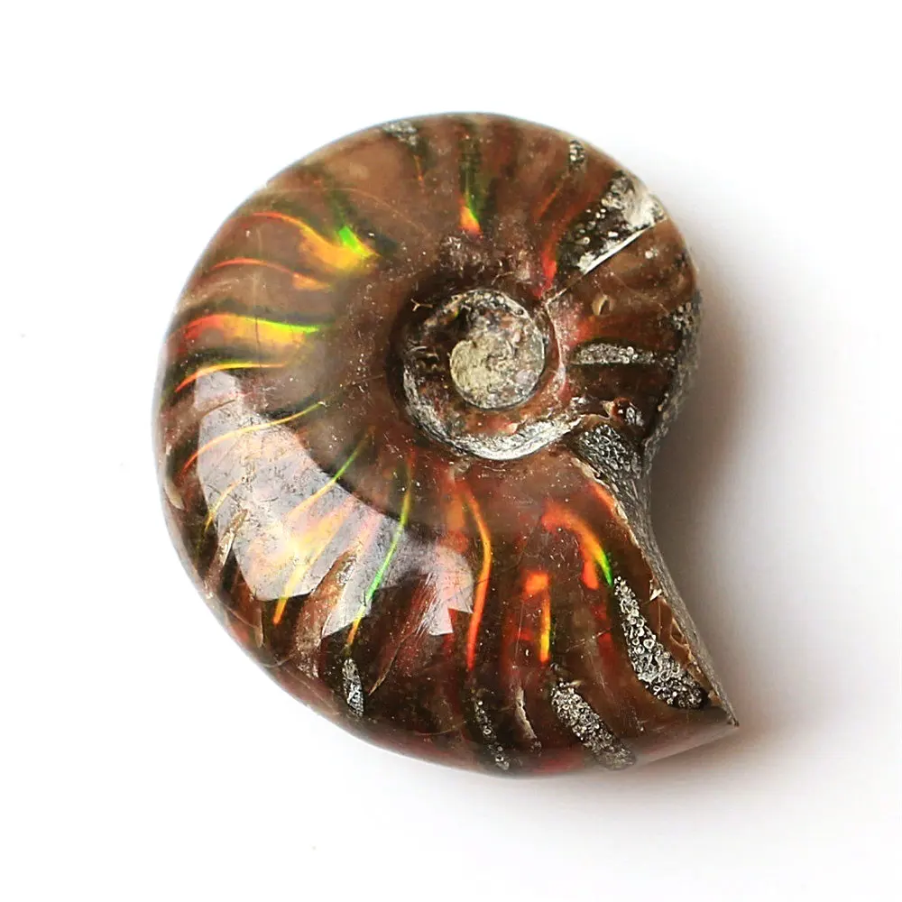 1 шт. редкий красный светильник раковина из окаменевшего аммонита коллекция