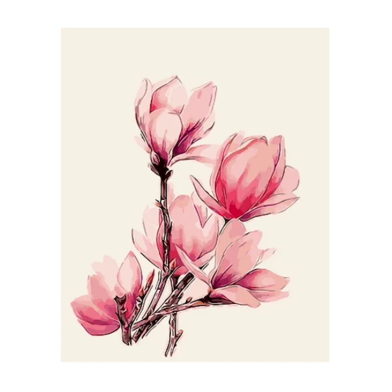 

AMTMBS DIY Painting By Numbers Magnolia Flower Coloring By Numbers Adults For Drawing On Canvas Wall Painting Decor