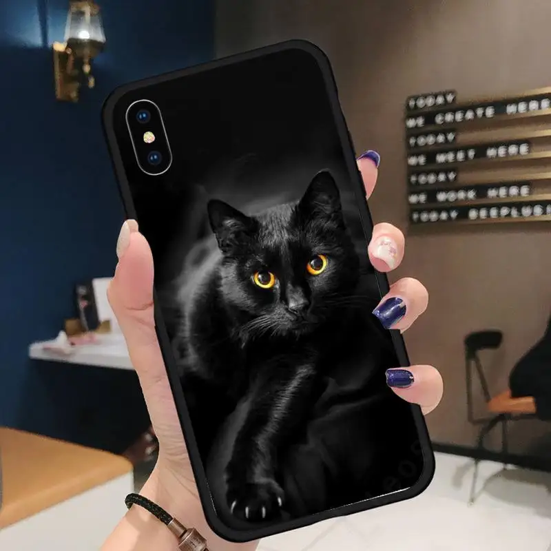 

Animal Black Cat Staring Eye On Phone Case for iPhone 11 12 mini pro XS MAX 8 7 6 6S Plus X 5S SE 2020 XR
